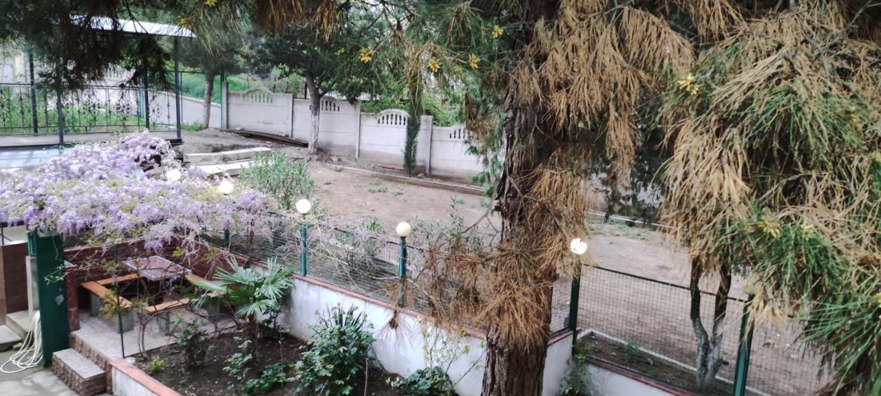 Hotel Venus تبليسي المظهر الخارجي الصورة